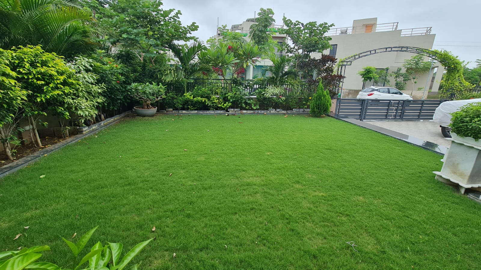 arvind upland