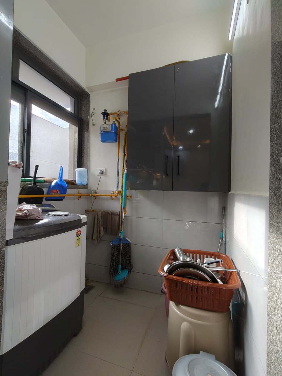 orchid blues